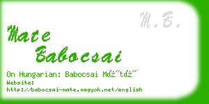 mate babocsai business card